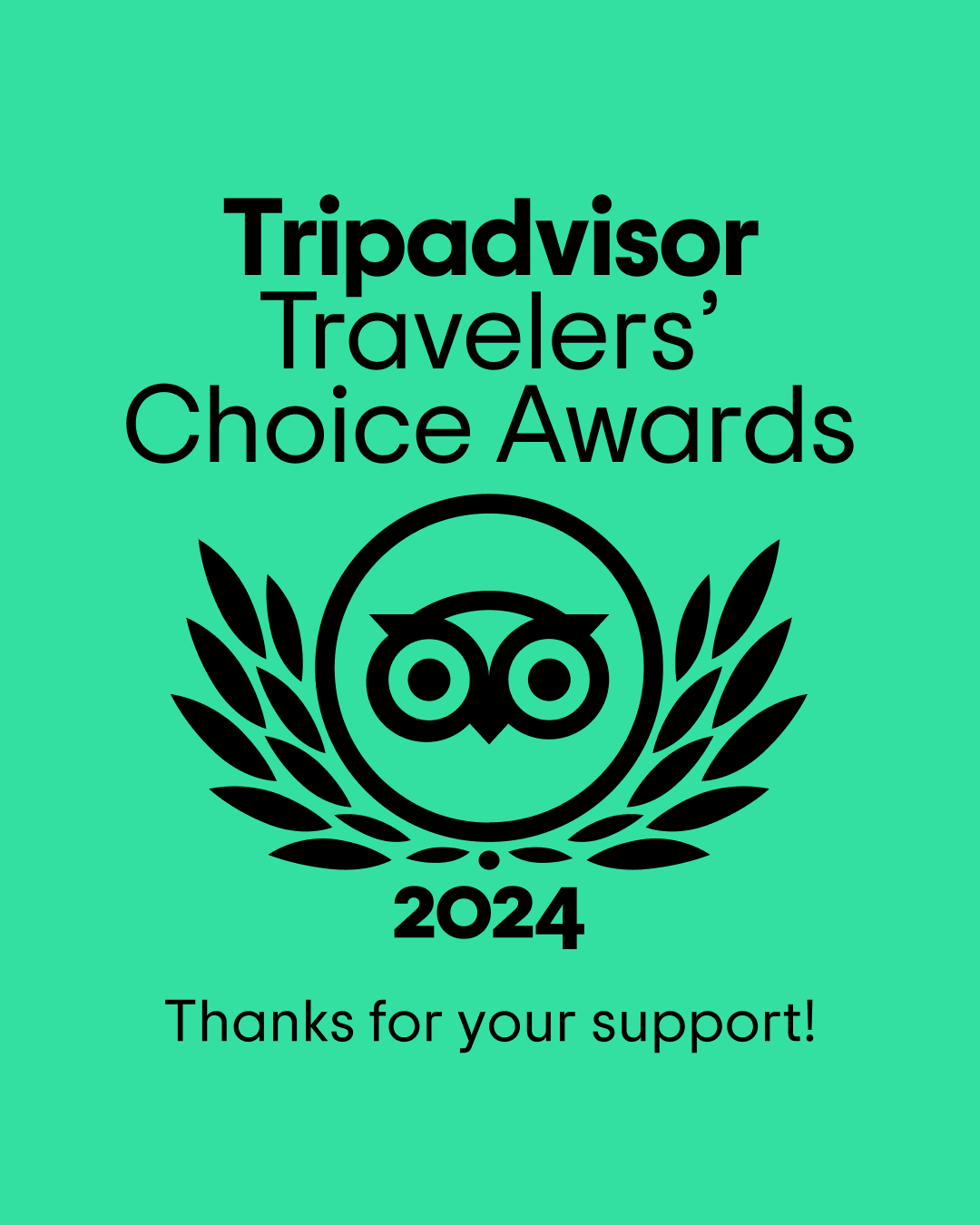 TripAdvisor Travellers' Choice Award 2024